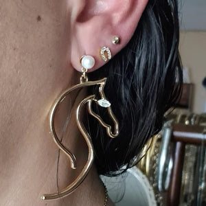 Aretes Caballo