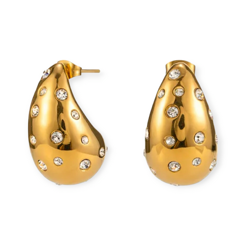 Aretes Botega Circonia