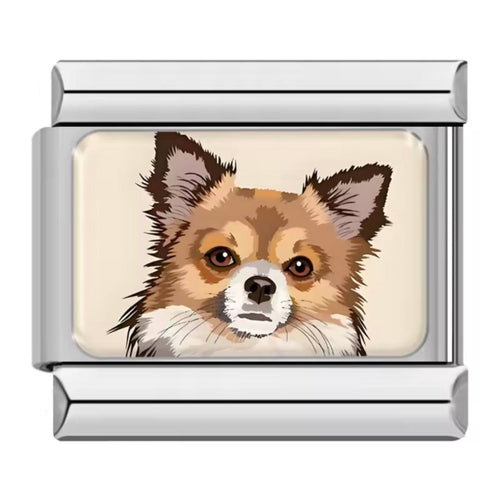 Charm POMERANIA